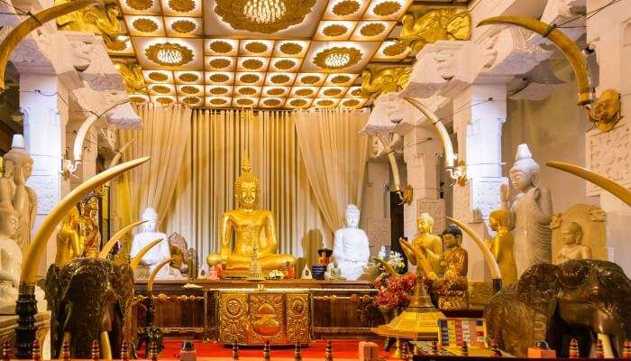 Things To Do In Moratuwa For A Divine