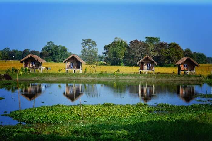 distant view of the clean and green majuli island