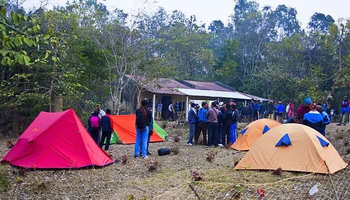 susinia hill