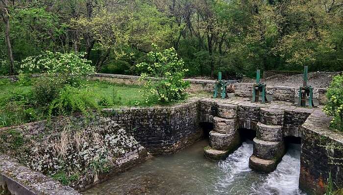 dachigam