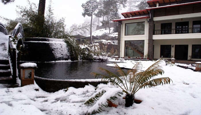 resort view during winters