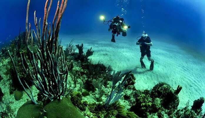 enjoyable for scuba diving