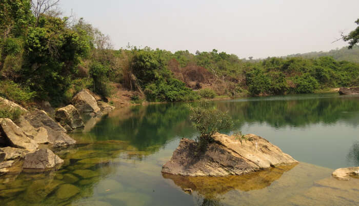 Balpakram National Park serves as a paradise for all wildlife enthusiasts or photographers