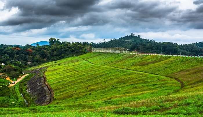 greenly in kerala