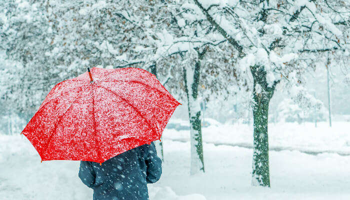 A girl in the snowfall