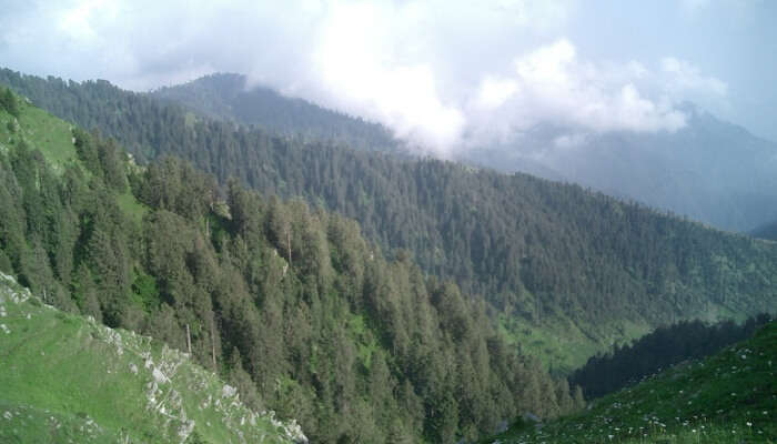 hills