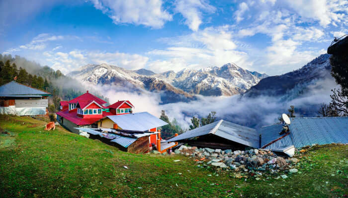 12 Best Homestays In Dharamshala For Comfort And Hospitality