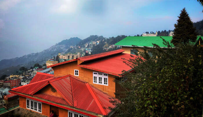 Homestays In Solan cover