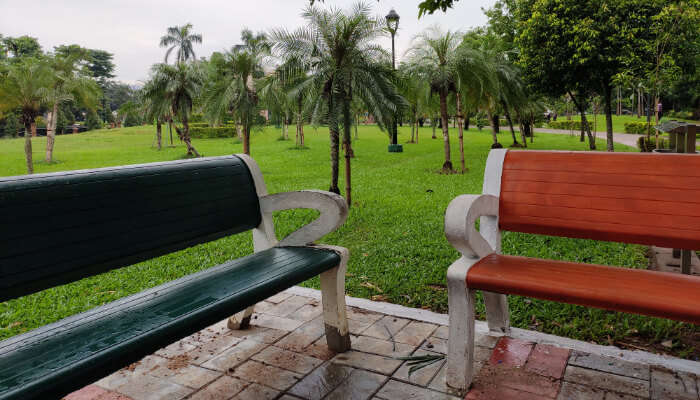 Chairs in a Park
