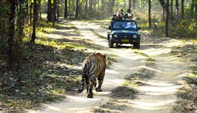 enjoy the offbeat adventure sports in Coorg on the jeep Safari. 