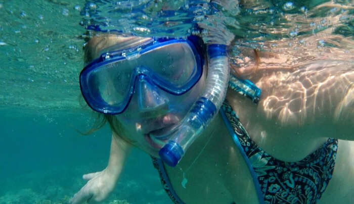 Enjoy Marine Life