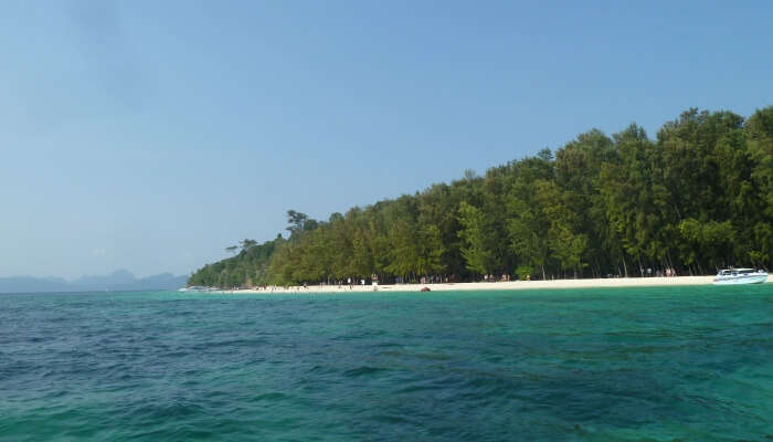 ko mai phai view