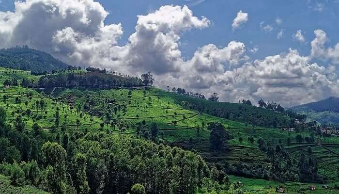 Kotagiri