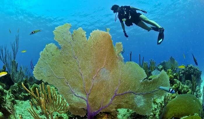 rocky underwater place