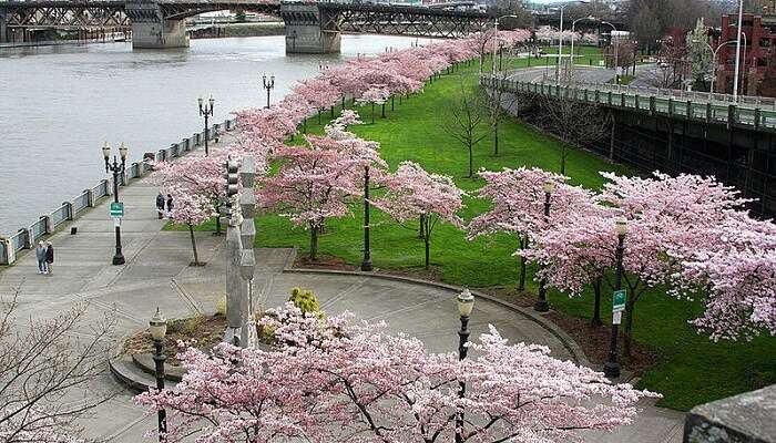 McCall Waterfront Park Portland