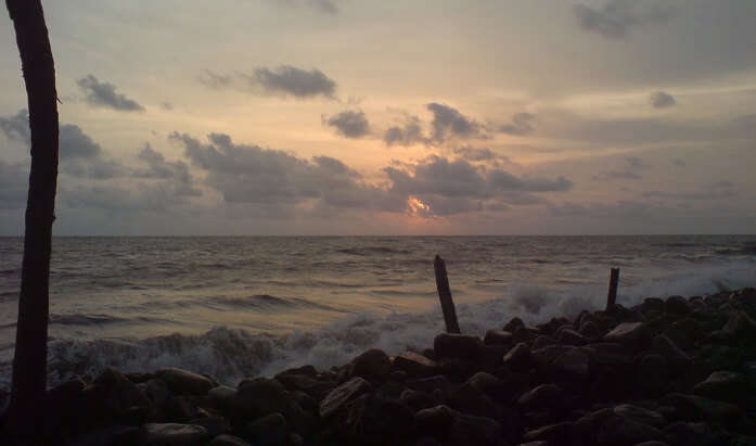 exotic beauty of nature