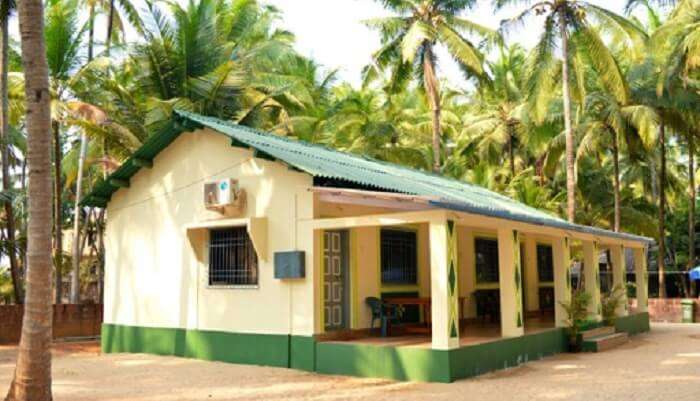 great time in Malvan