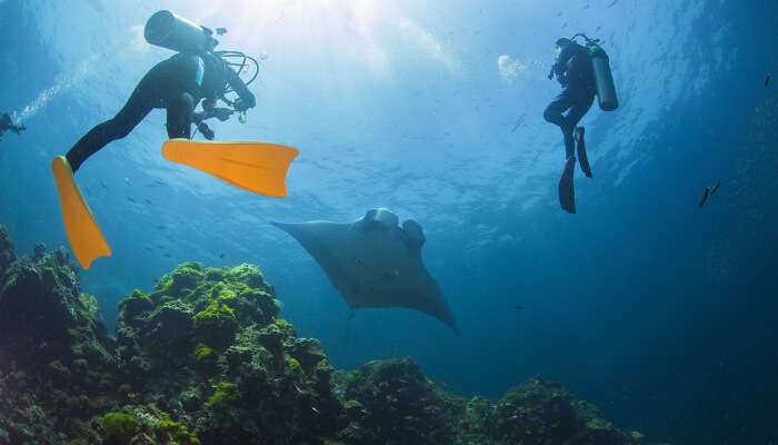 Scuba Diving In Vietnam cover