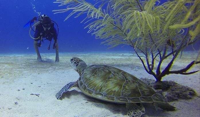 scuba diving