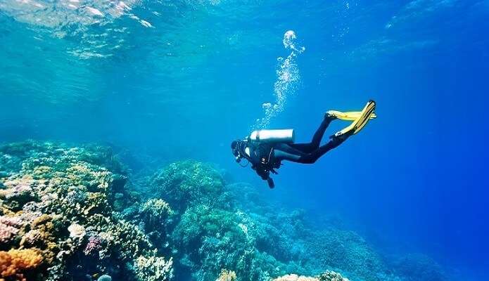 scuba diving hub for underwater adventure