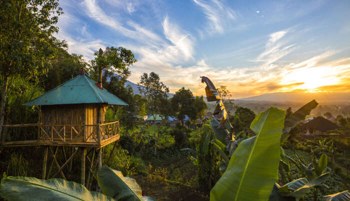 Treehouse in Erumadam