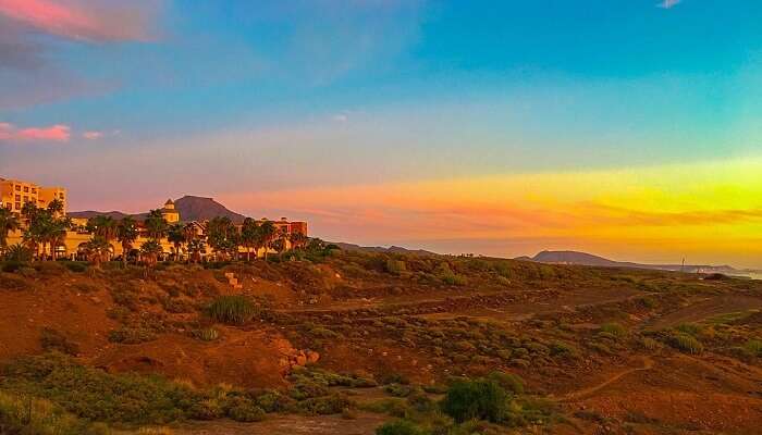 Canary Islands Tenerife Spain Nature Landscape