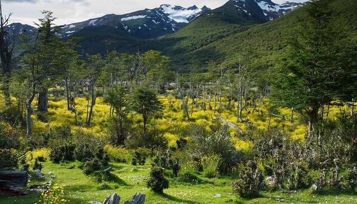 Paso de la Oveja, Tierra del Fuego, Argentina