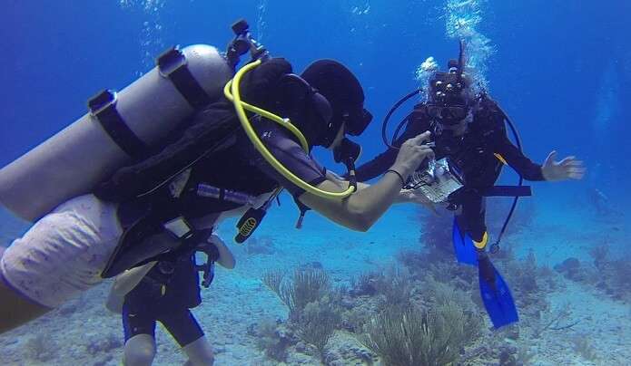 numerous exotic fish, big boulders, and sand