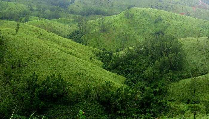 Vagamon