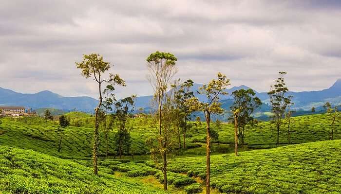 Valparai