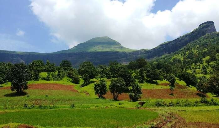 famous for its greenery