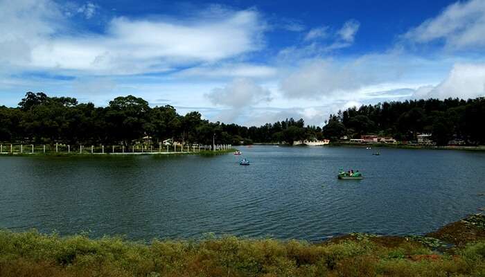 lake view of yercaud lake