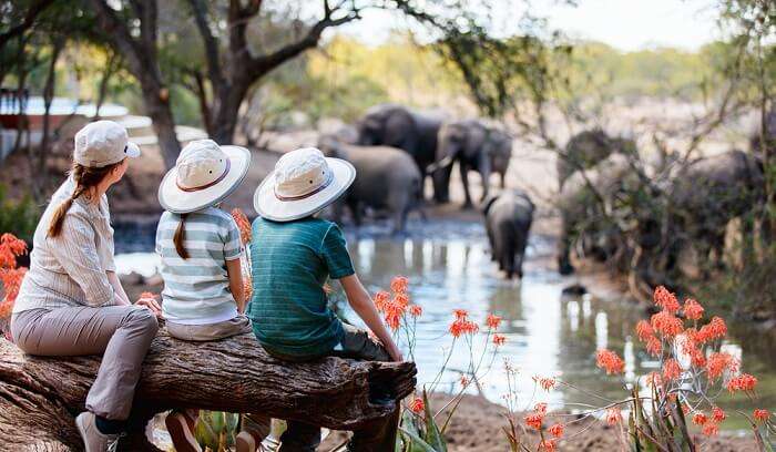 jakarta safari tour