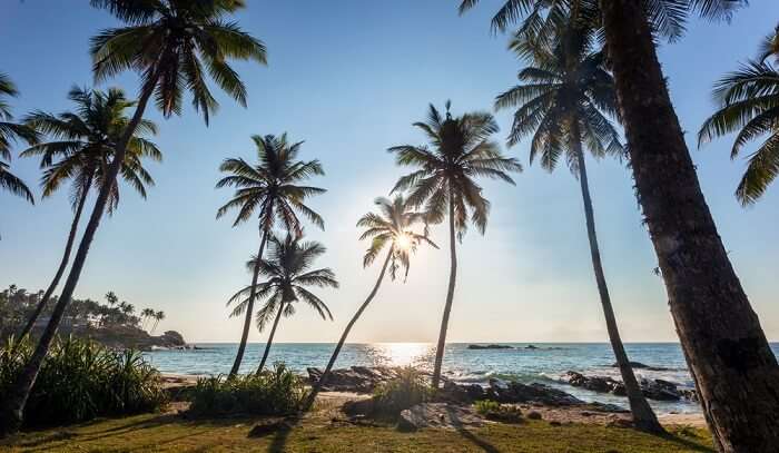 vasco da gama railway station to baga beach