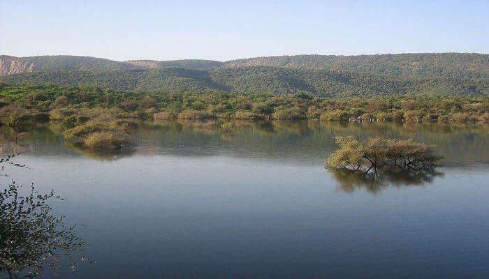 National Parks in Rajasthan