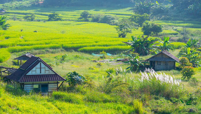 travel of village