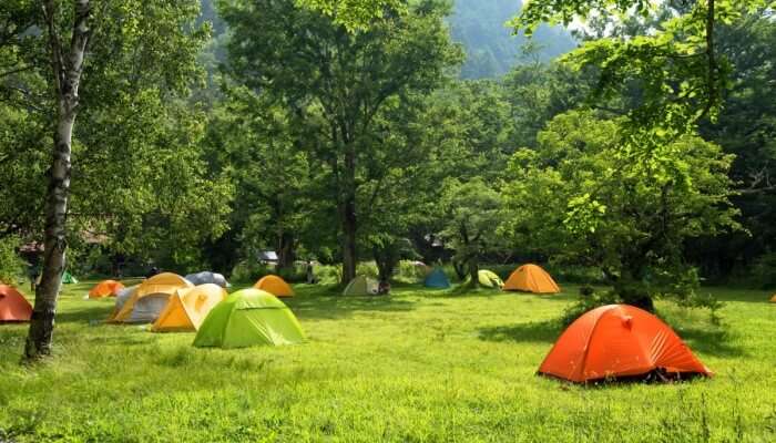 camping in lush greenery