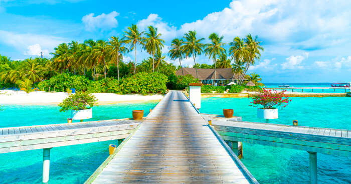 Visit Maldives - Experiences > The Sea of Stars in the Sunny Side of Life