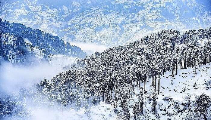 patnitop