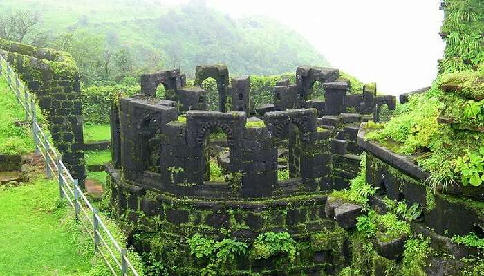 raigad