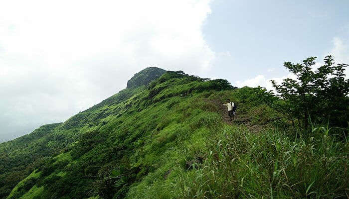 Trekking In Kamshet