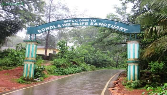 Thrilling Bondla Wildlife Sanctuary
