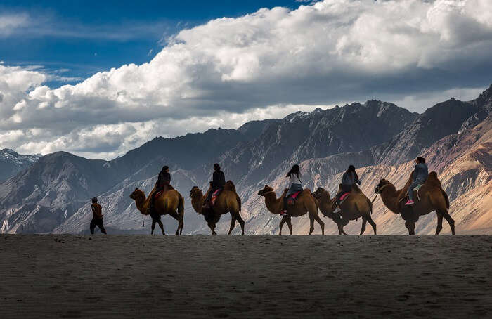 Ladakh: Nubra Valley Trek, Ladakh Holidays