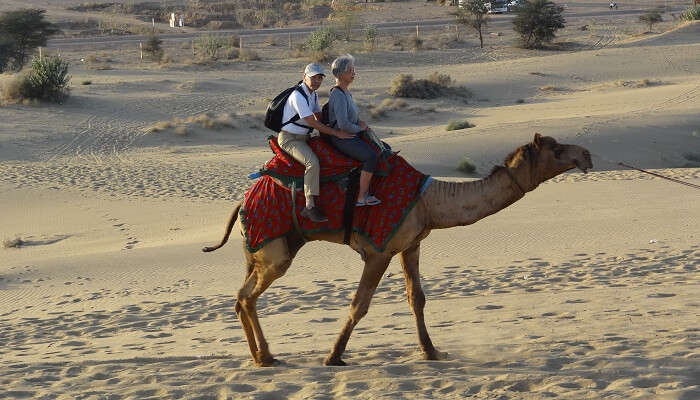 Camel ride