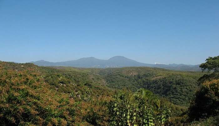 natural view of the place