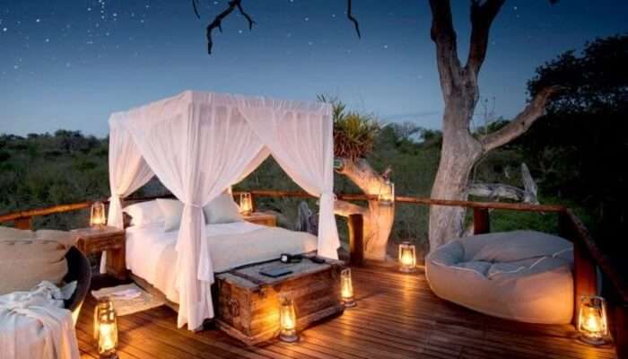 Chalkley Treehouse, Sabi Sand