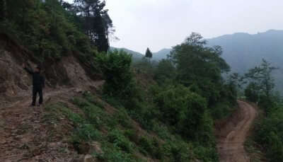 trekking trail in lush greenery, one of the best places to visit Near Kathamandu