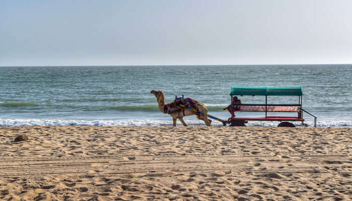 Beautiful Beaches in Gujarat