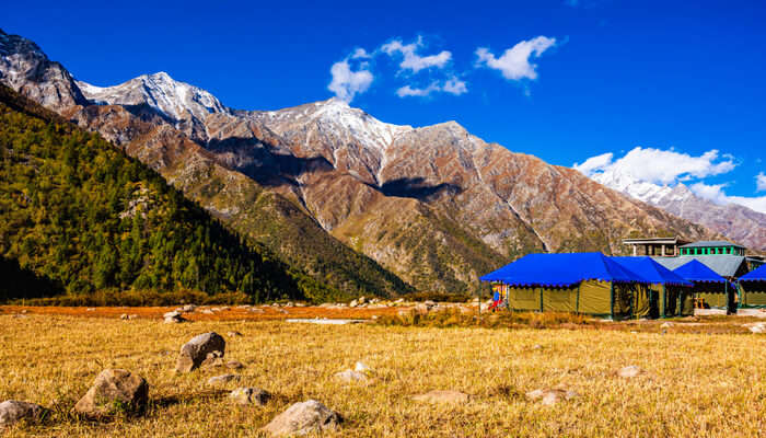 Best Camping In Auli