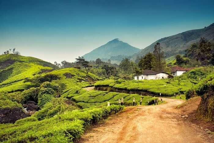 Munnar honeymoon places